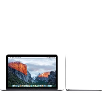 Apple MacBook 12 Space Grey Z0TY0002V/BG