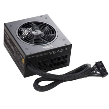 EVGA 750 GQ (210-GQ-0750-V2) + Gift