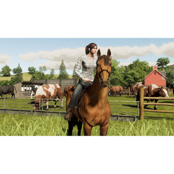 Farming Simulator 19 - Ambassador Edition PC