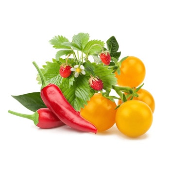 click and grow плодове и зеленчуци микс 9 броя