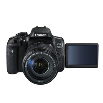 Canon EOS 750D + EF-s 18-135mm IS STM + CS100
