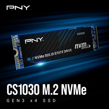 PNY CS1030 M.2 NVMe SSD M280CS1030-250-RB