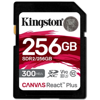 Kingston Canvas React Plus SDR2/256GB