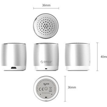 Orico BS16-SV