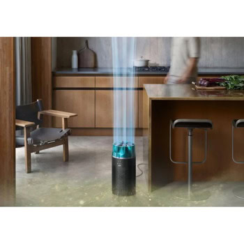 dyson 491338-01