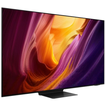 Samsung QE-65S95H QE65S95HFTXXH