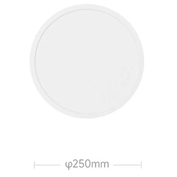 Xiaomi Smart Ceiling Light D20