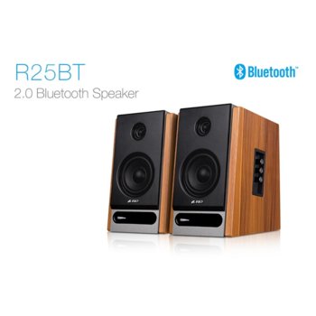 Fenda Bluetooth 2.0 Speakers R25BT