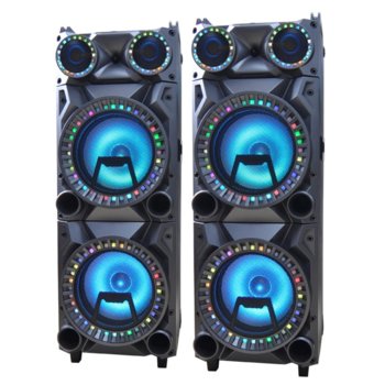 Караоке колона Zephyr ZP 9999 2H12-2, 2.0, Bluetooth, AUX, SD Card, USB, RCA, 2 бр. безжични микрофона, черна | JAR Computers Zephyr ZP 9999 2H12-2