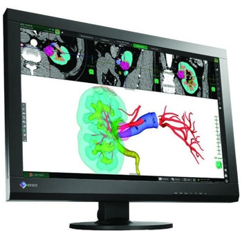 EIZO RadiForce MX242W