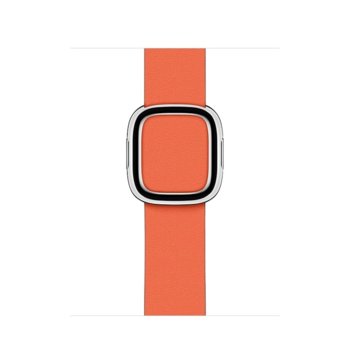 Apple Watch 40mm Band: Sunset Modern Buckle - Larg