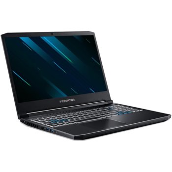 Acer Predator Helios 300 PH315-53-50PS