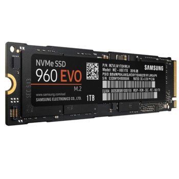 Samsung SSD 960 EVO M2 PCIe 1TB