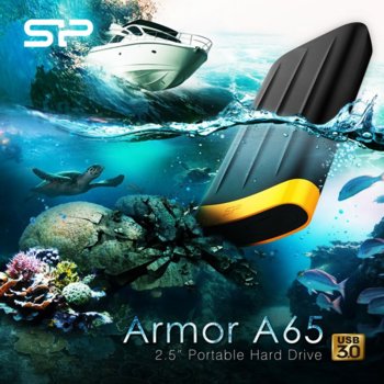2TB Silicon Power Armor A65