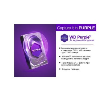 6TB Western Digital Purple (WD60PURZ)