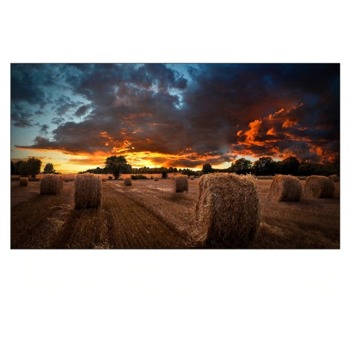 Дисплей Samsung LH55VMTUBGBXEN, 55" (139.7 см), Full HD (1920 x 1080), HDMI, DisplayPort, DVI, USB, RJ-45 | JAR Computers Samsung LH55VMTUBGBXEN