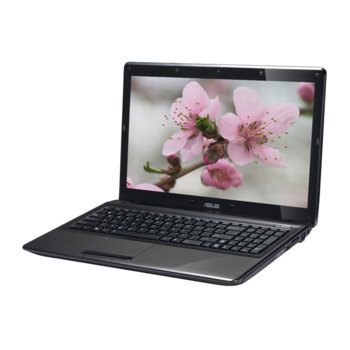 15.6" (39.62 cm) Asus K53U-SX071D