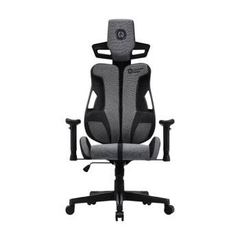 Canyon Morphos ABCH01 Gray CNS-ABCH01GYB