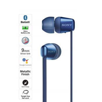 Sony Headset WI-C310