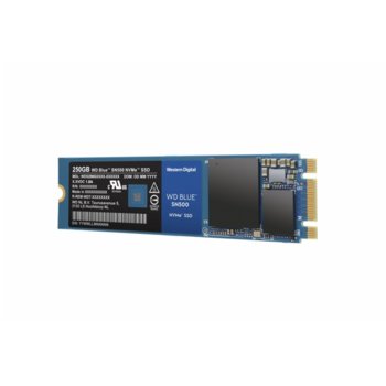 WD Blue SN500 250GB WDS250G1B0C