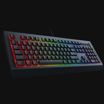 Razer Cynosa V2 RZ03-03400100-R3M1