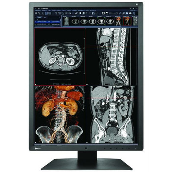 EIZO RadiForce RX250