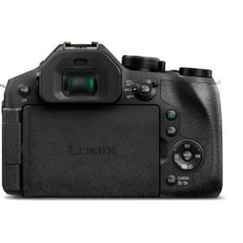 Panasonic FZ300+Panasonic DMW-BLC12E+Lexar 32GB