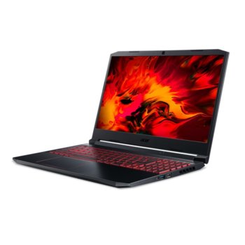 Acer Nitro 5 AN515-55