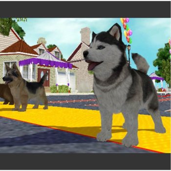 Petz Sports: Dog Playground