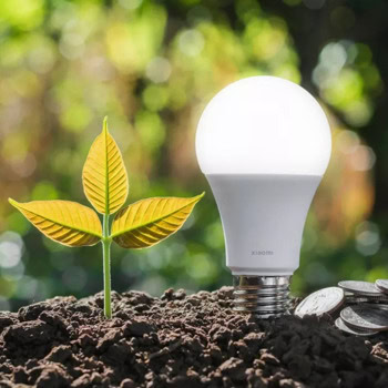Xiaomi Smart LED Bulb (White and Color)