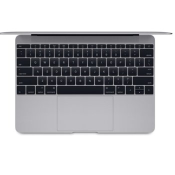 Apple MacBook (MLH72ZE/A)