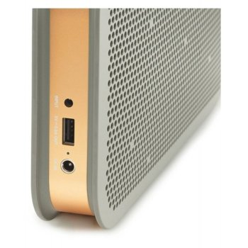 Bang & Olufsen BeoPlay A2 26586