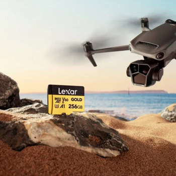Lexar 256GB Professional Gold LMSGOLD256G-BNNNG