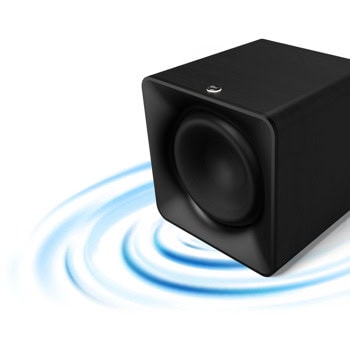 Klipsch Flexus SUB 100 Black 1072078