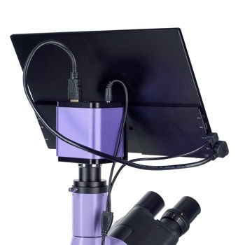 MAGUS Lum D400L LCD LV83019