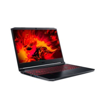 Acer Nitro 5 AN515-55