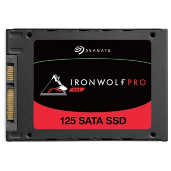 Seagate 960GB IronWolf Pro NAS 125 ZA960NX1A001