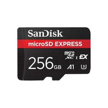 SanDisk 256GB Express Card SDSQXFN-256G-GN4NN