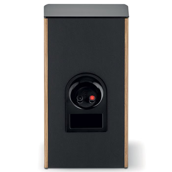 Focal Aria Evo X N°1 PRIME WALNUT