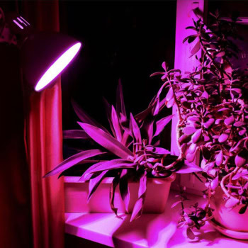 Videx LED Plant Grow Light VLE-A60FF-08271