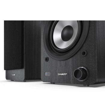 Sharp CPSS30BK CP-SS30(BK)