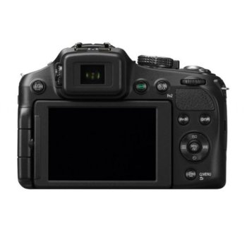 Panasonic LUMIX FZ200 + DMW-BLC12E