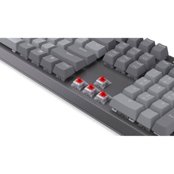 Endorfy Thock V2 Red switch EY5A125 | JAR Computers Endorfy Thock V2 Red switch EY5A125