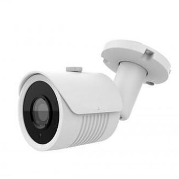 Security Professionals B2136-MOW