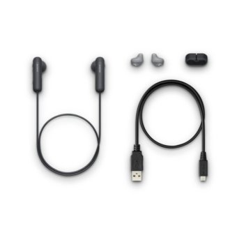 Sony WI-SP500 Black