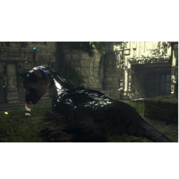 The Last Guardian Collectors Edition