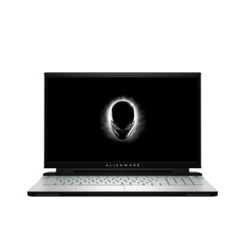 Dell Alienware m17 R2 ALWM17R2I79750H16G256G2080_W