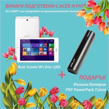 Acer Iconia W1-810-1388 NT.L7GEX.003 P-B2600