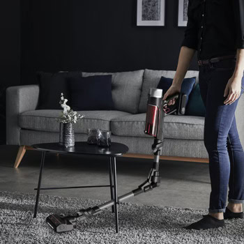 Rowenta X-Force Flex 9.60 Animal Care RH2078WO