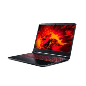 Acer Nitro 5 (AN515-44) NH.Q9HEX.006